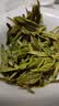 卢正浩绿茶老茶蓬龙井茶叶特级6g2026新茶明前老茶树春茶品鉴中秋送礼 实拍图