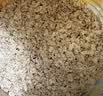 红色拖拉机进口奇亚籽燕麦片即食免煮冲饮谷物营养早餐500g*2袋 实拍图