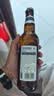 青岛啤酒（TsingTao）精酿白啤全麦原麦汁浓度10°P  500ml*12瓶整箱装 中秋节送礼 实拍图