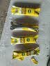 绿伞柠檬酸除垢剂 水垢清除剂 电水壶鱼缸除水垢母婴适用10g*24袋 实拍图