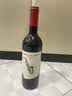 CANIS FAMILIARIS布多格原瓶进口红酒 西拉干红葡萄酒 750ml 单瓶装 实拍图