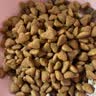 皇家猫粮 成猫猫粮 去毛球 IH34 通用粮 12月以上 2KG 实拍图