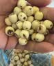 方家铺子莲子400g湘潭磨皮通芯大号白莲子去芯桂圆枸杞百合银耳羹粽子食材 实拍图