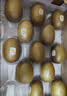 佳沛（zespri）新西兰金奇异果15粒巨大果146-175g猕猴桃中秋节礼品送水果礼盒 实拍图