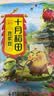 十月稻田 豆浆豆 2斤 豆浆原料 黑豆红豆黄豆 非转基因 高蛋白 早餐 代餐 实拍图
