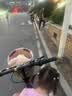 凤凰官方旗舰店折叠自行车成年人20寸男女禧玛诺变速亲子通勤车ZD300 胡椒白【钢架】禧玛诺7速+宝宝座椅 实拍图