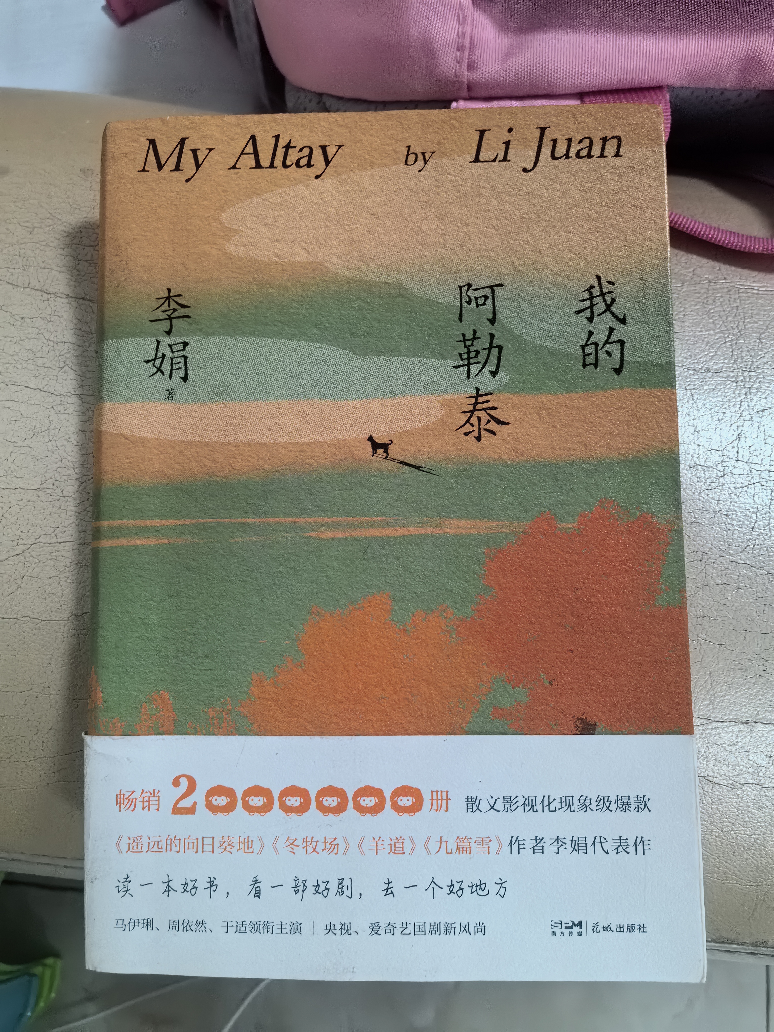 【自营包邮】我的阿勒泰 马伊琍 周依然 于适 蒋奇明主演的同名电视剧  新疆风光 李娟阿勒泰畅销代表作 实拍图