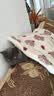 光多拉猫垫狗垫子60*40cm草莓小熊宠物猫窝睡垫四季猫咪北极绒棉毯子 实拍图