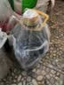 多力【保真菜籽油】低芥酸物理压榨非转基因特香菜籽油6.18L 团购送礼 实拍图
