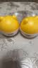 郁美净儿童猫头霜蛋黄油安心霜40g宝宝润肤乳鲜奶霜滋润保湿婴儿面霜 实拍图