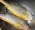 三都港 冷冻黄花鱼700g/2条装 大黄鱼深海鱼 生鲜鱼类 海鲜水产中秋礼品 实拍图