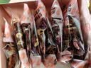 忆江南红枣桂圆枸杞玫瑰花茶320g补气血茶包女养生茶配礼袋中秋礼品 实拍图