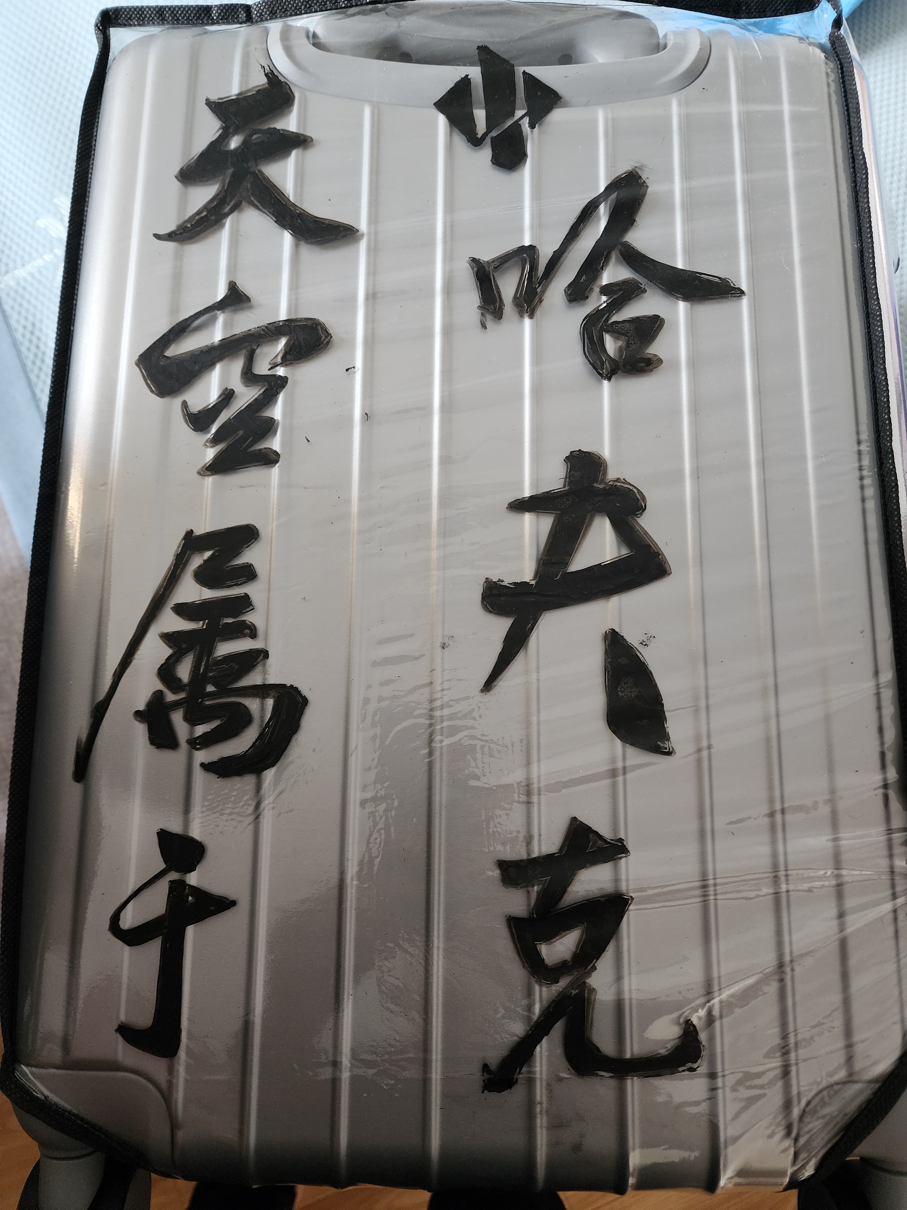 爱华仕行李箱20英寸登机箱男可扩展大容量拉杆箱耐用女旅行箱密码皮箱灰 实拍图