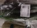 长黄瓜约600g 实拍图
