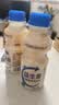 乳酸菌益生菌风味饮料乳酸菌饮品340ml/瓶早餐酸奶好喝 益生菌340ml*2瓶 实拍图