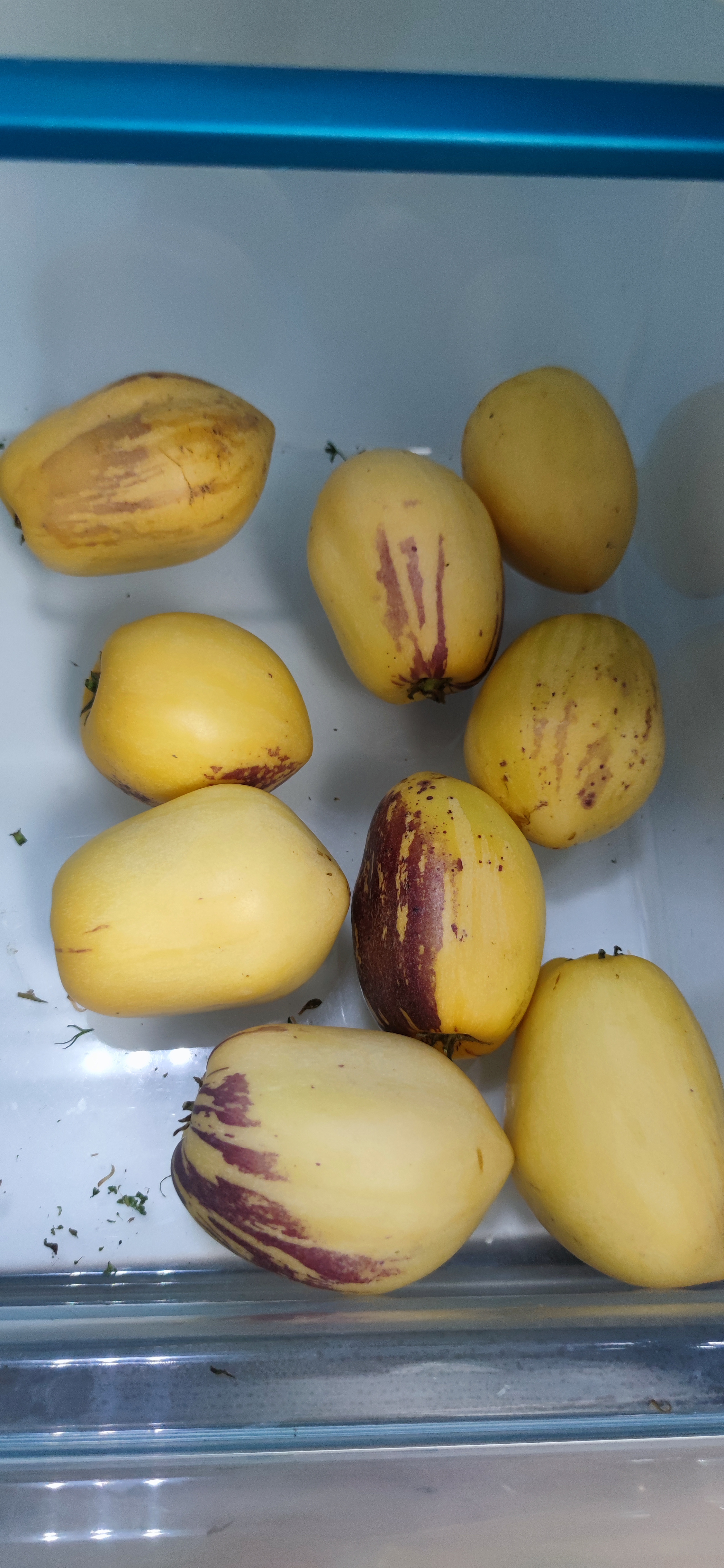 京鲜生 甘肃沙漠人参果 净重4.5斤 单果100g+生鲜水果源头直发包邮 实拍图