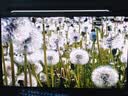 泰坦军团 26.5英寸 QD-OLED镜面屏 五层串联技术 4K 165Hz 10bit DeltaE<1硬件低蓝光 AI电竞显示器 G2785V 实拍图