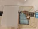 宠趣汇小狗笼子小型犬家用带厕所分离一室一卫狗窝宠物博美比熊泰迪专用 托盘款加深 |71*46*43| 7斤内 基础套餐：狗笼+网架厕所+脚垫+抽屉/托盘 实拍图