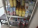 农夫山泉东方树叶菊花普洱500ml*15瓶无糖茶饮料0糖0脂0卡饮品整箱装 实拍图