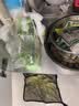 立白天然青柠洗洁精2.4kg维E精华不伤手A类食品用去重油果蔬洗涤灵 实拍图