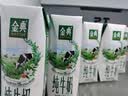 伊利【新鲜日期】金典纯牛奶早餐奶250ml*16盒3.6g 中秋礼品礼盒装 实拍图