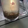 乐品乐茶明前特级毛尖绿茶2026新茶嫩芽春茶茶叶礼盒装250g伴手礼中秋送礼 实拍图