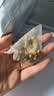 优卓养雌茶黄体酮茶包亚麻籽无花果黑豆黑枸杞桑葚茶雌激素 实拍图