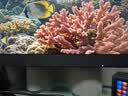 AOC 34英寸WQHD 240Hz 快速液晶1ms HDR400 出厂校色 1500R曲面带鱼屏 游戏电竞显示器宙斯盾 CU34G4Z 实拍图