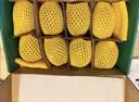 佳沛（zespri）新西兰阳光金奇异果6粒装88-103g猕猴桃水果中秋节礼品送水果礼盒 实拍图