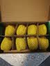 佳沛（zespri）新西兰金奇异果8粒特大果124-146g猕猴桃中秋节礼品送水果礼盒 实拍图