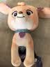 汪汪队立大功（PAW PATROL）毛绒玩具陪睡玩偶经典款珊瑚中号坐姿公仔男女孩儿童生日礼物 实拍图