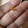 六福珠宝囍爱系列足金四季花开黄金耳坠女款婚嫁耳饰 计价 HXG50106 2.69克(含工费153元) 实拍图