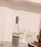 拜杰一次性香槟杯210ml8个装 红酒杯塑料鸡尾酒葡萄高脚透明酒杯子 实拍图