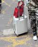 ELLE法国时尚撞色行李箱拉杆箱防刮出国留学登机箱白配绿20英寸 实拍图