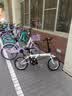 大行（DAHON）KT610折叠自行车16英寸城市通勤迷你成人男女学生便携小轮单车 白色 实拍图