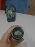 斯旺森16种活性成人调理肠胃益生菌60粒 双歧杆菌益生元+矿物质缓解便秘 实拍图