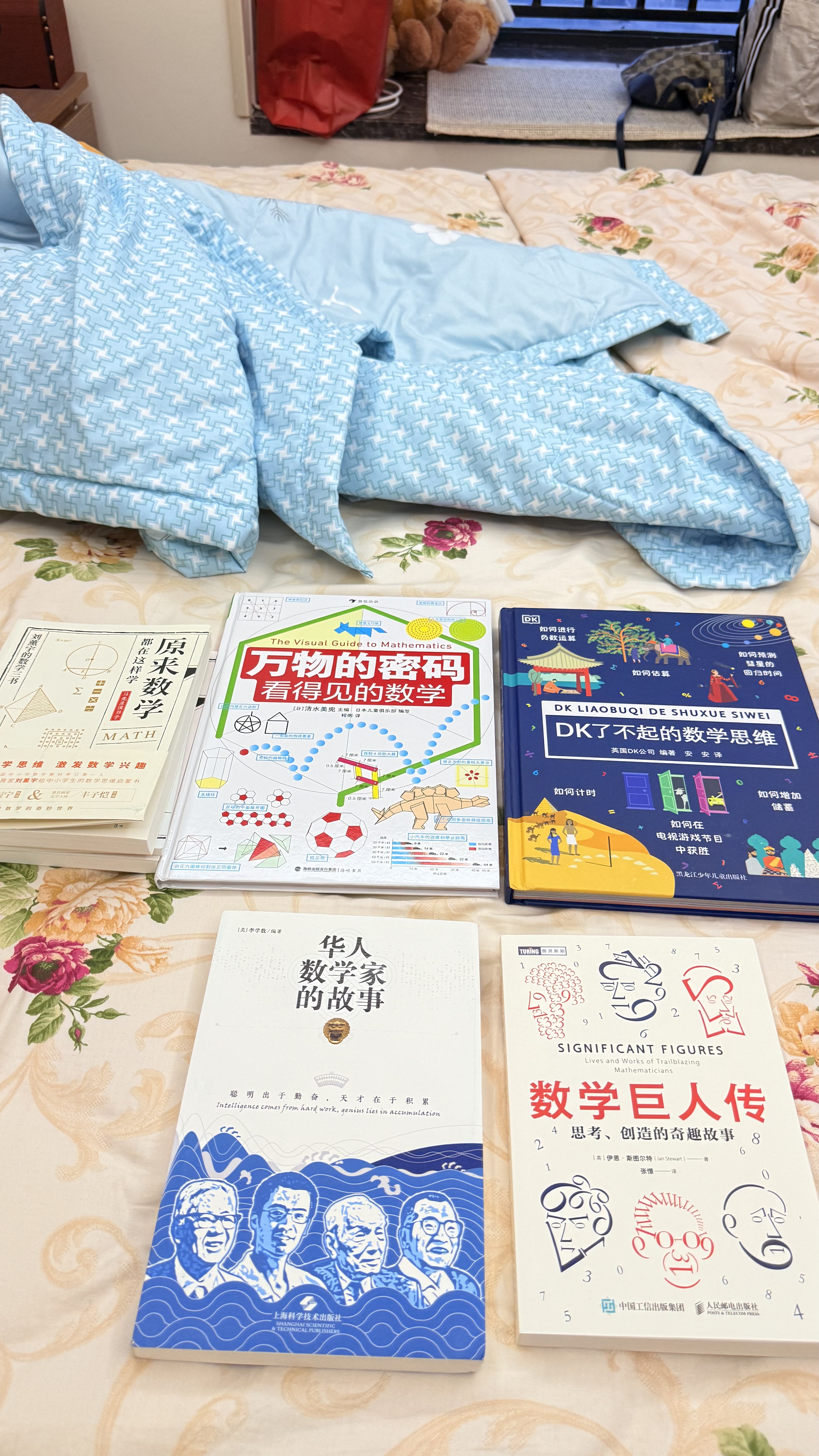 万物的密码：看得见的数学（通过身边常见的事物，带孩子认识无处不在的数学）  实拍图
