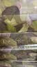babycare山茶花夏季轻薄款一次性内裤女士孕妇产后免洗 M码 4条 实拍图