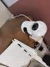 镭威视无线wifi监控摄像头家用高清监控器360度无死角带夜视手机远程自动旋转可对话室内外家庭云台监控 WiFi版】800万+双画面+15天循环录像 日夜全彩+语音对讲+跟踪旋转 实拍图
