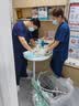 拜达尔【速喏】同款阿莫西林克拉维酸钾片宠物猫咪狗消炎药感冒咳嗽鼻支 实拍图