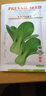凤鸣雅世 四季蔬菜种子都市菜园速生阳台农家庭院盆栽油菜菠菜芹菜香菜籽 嫩绿小油菜种子 都市菜园10克 实拍图