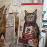 希尔思Hill‘s全价成猫通用粮鸡肉配方高适口性猫粮营养全面7磅 实拍图