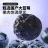 三只松鼠每日蓝莓干500g 蜜饯果干酸甜休闲零食下午茶孕妇儿童健康零食 实拍图