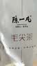 陈一凡 毛尖绿茶250g 明前2026新茶茶叶春茶浓香型茶叶自饮待客袋装 实拍图