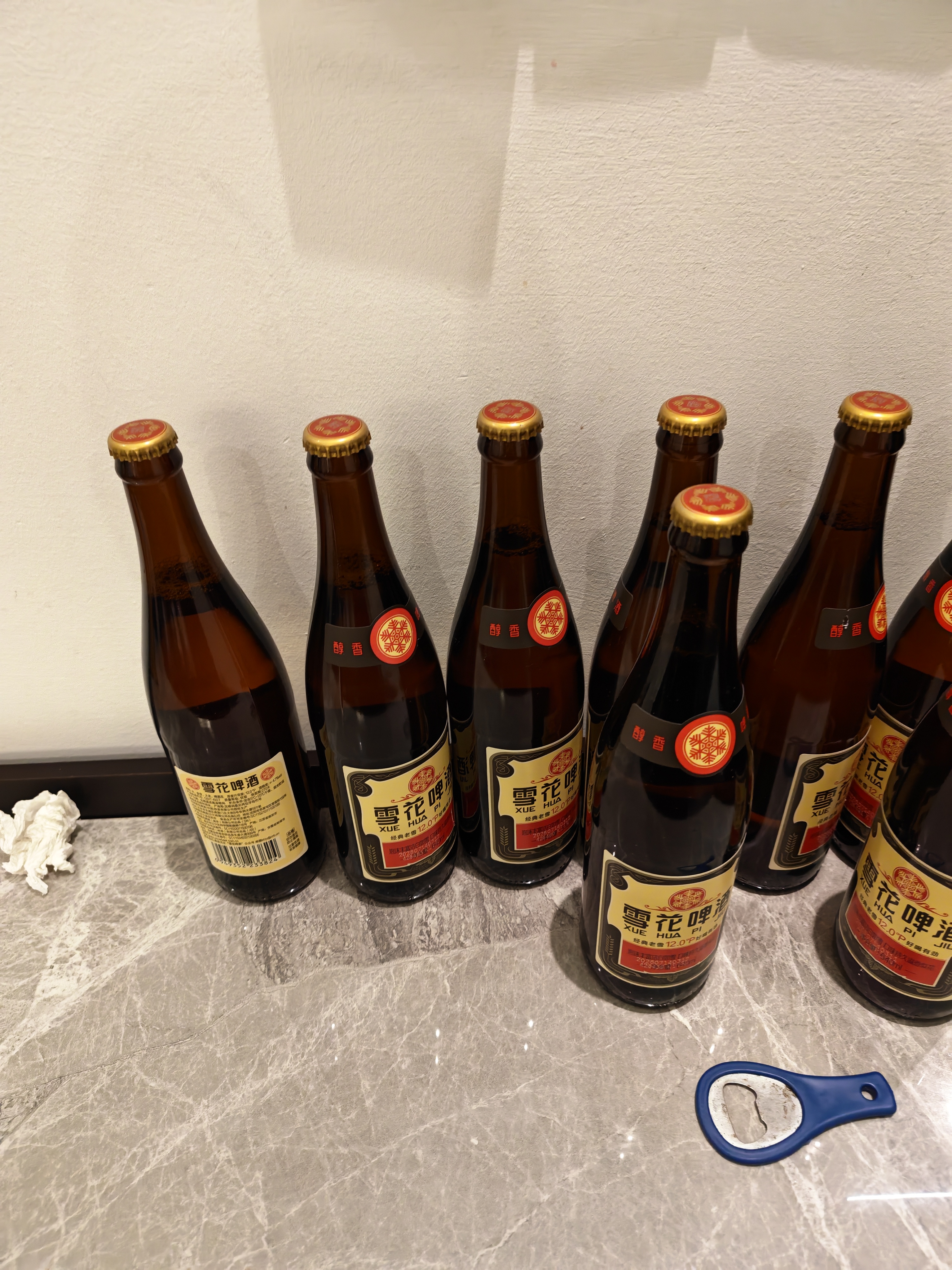 雪花啤酒 (Snowbeer) 经典老雪猫屋版 640ml*15 瓶规格升级 中秋礼品 实拍图