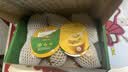佳沛（zespri）新西兰阳光金奇异果6粒装88-103g猕猴桃水果中秋节礼品送水果礼盒 实拍图