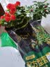 营养土养花种菜土壤有机兰花多肉植物盆栽种植椰砖土通用型 有机营养土20斤【园艺师专研配方 实拍图