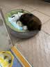光多拉狗窝猫窝S码宠物冬季小型犬狗窝保暖加厚金毛泰迪四季通用睡垫子 实拍图