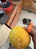 京鲜生 应季脐橙 净重8斤 单果150g+ 新鲜水果橙子 源头直发包邮 实拍图
