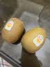 佳沛（zespri）新西兰阳光金奇异果6粒装88-103g猕猴桃水果中秋节礼品送水果礼盒 实拍图